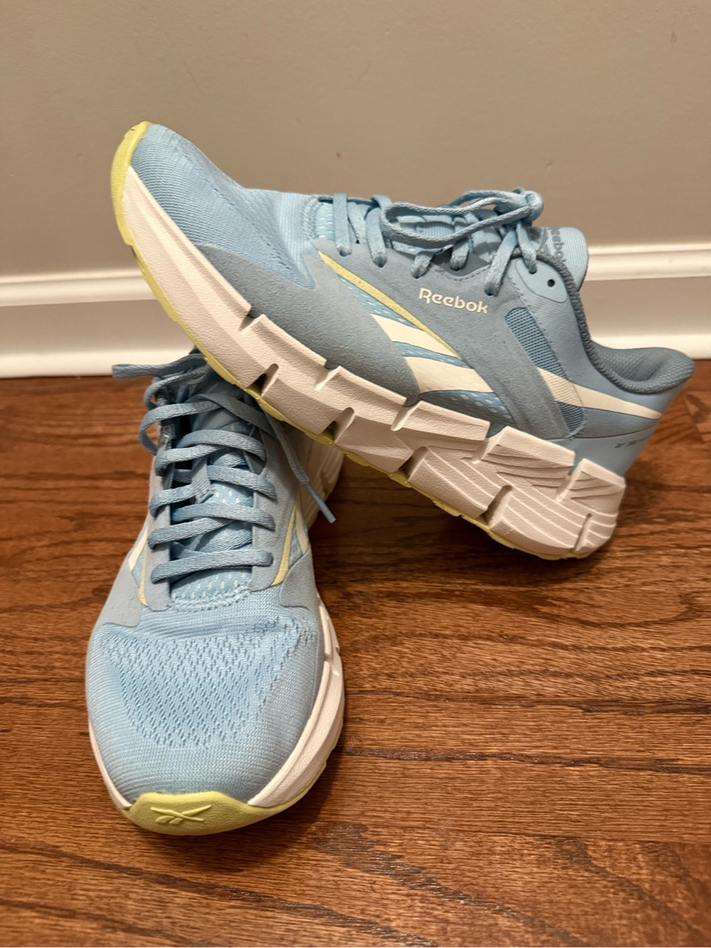 Reebok Zig Dynamica 5 Light Blue and White Women’s 8.5